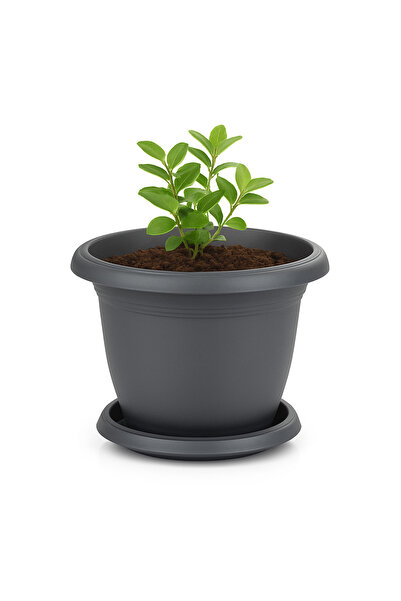 TEMMUZ HOME No 3 Villa Saksı 1 Adet 1.7 Litre 18cm Delikli Tabaklı Plastik Yu...