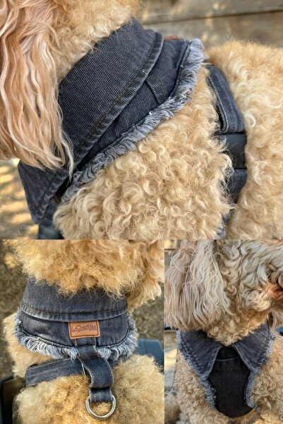 Globodepo Köpek Tasması Yakalı Gri Kot Jean Göğüs Gövde Tasması Ayarlanabilir