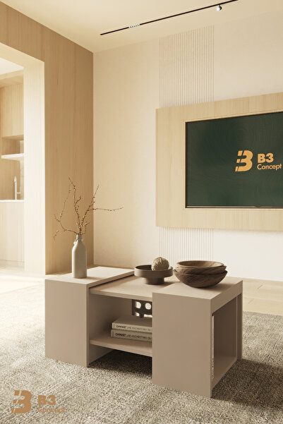 B3 Concept Oslo Serisi Çıkarılabilir Yan Sehpalı Takım Fonksiyonel Raflı 1. Kalite Modern Dekoratif Orta Sehpa