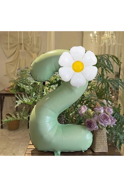 DÜVENCİ TİCARET adaçayı yeşili beyaz papatya folyolu yaş balon set