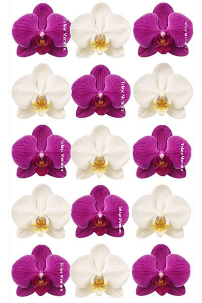 telaşe memuru Yenilebilir Çiçek Pasta Süsü - Orkide Yenilebilir Kağıt Pasta Süsü - Pasta Süsü - Model 1