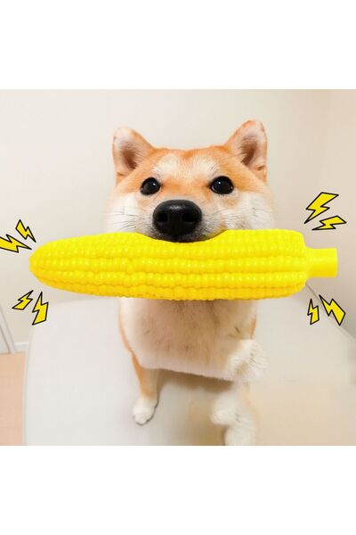 Pati Cool Egyptian Model Dog Toy with Sound |   Durable Pet Biting and Chewing Toy