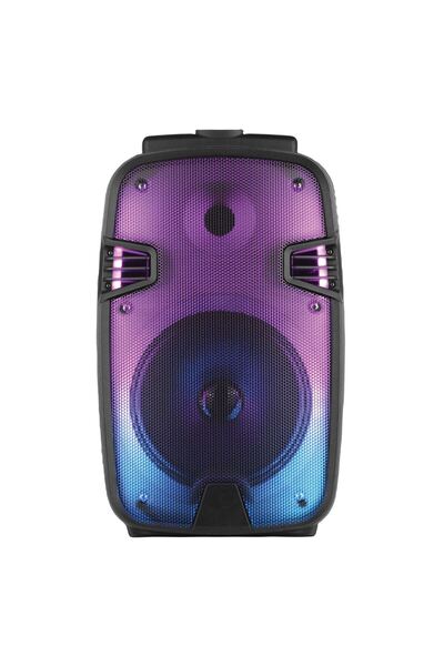 OEM Portable Bluetooth Karaoke Speaker with Microphone & LED 20W 24x20.5x41cm