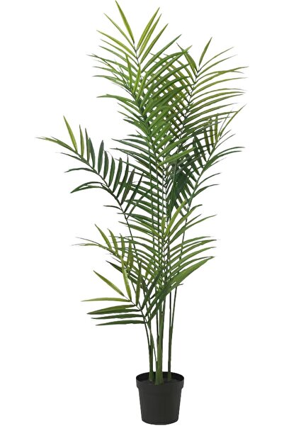MEKITON شجرة نخيل أريكا اصطناعية - نبات استوائي صناعي بارتفاع 160 سم مع أوراق...