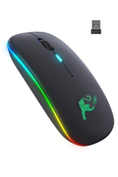 JUNGLEE Rgb Led Işıklı Şarjlı Kablosuz Mouse Sessiz 2.4 Ghz Usb Wireless 800-...