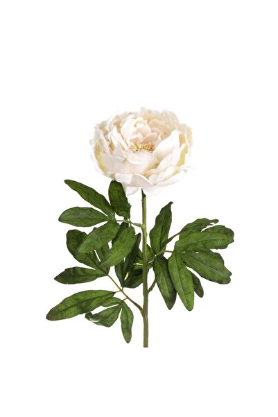 OEM Artificial Flower with Long Stem Cream Peony 70cm