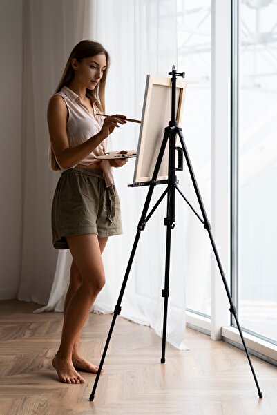 Other DIY Wolf Woman Painting by Numbers Kit with Frame, Art Entertainment