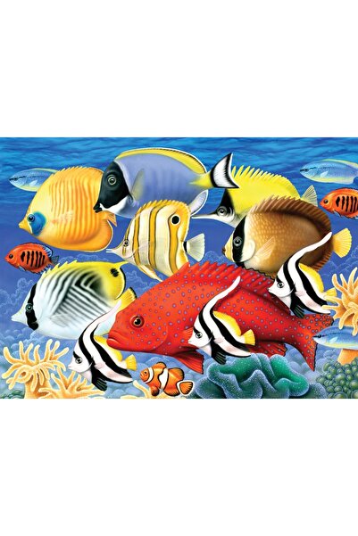 Royal Painting by numbers Tropical fish 32x40 cm
