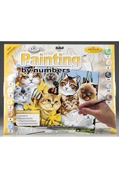 Royal Pictura pe numere Pisici 32x40 cm