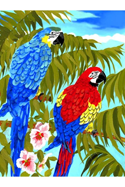 Royal Pictura pe numere Papagali 24x33 cm