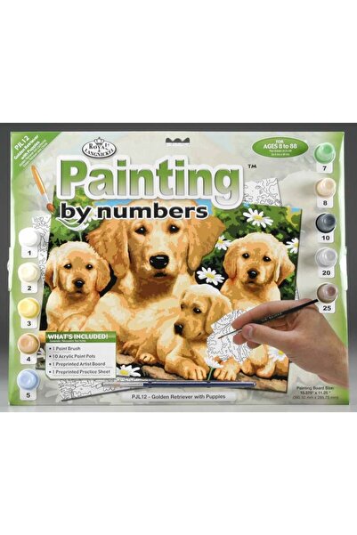 Royal Painting by numbers Golden Retriever 32x40 cm