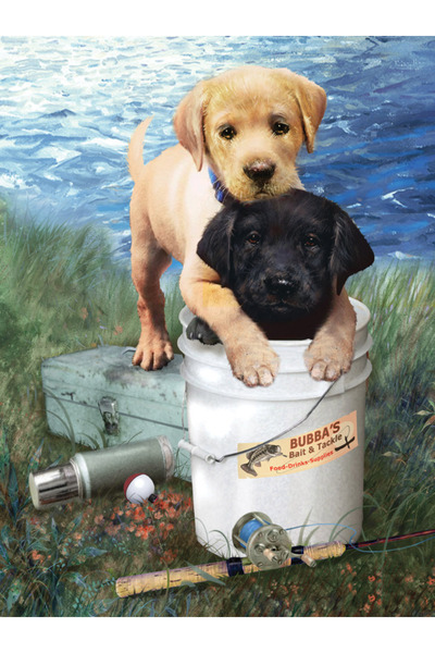 Royal Pictura pe numere Prieteni la pescuit 24x33 cm