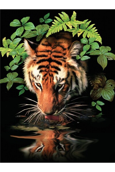 Royal Pictura pe numere Tigru 24x33 cm