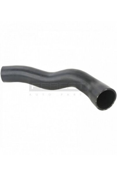 Mitsubishi Furtun radiator Febest 04452-L200UPLH CHALLENGER