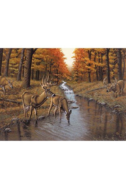 Royal Symonds Creek Paint by Numbers