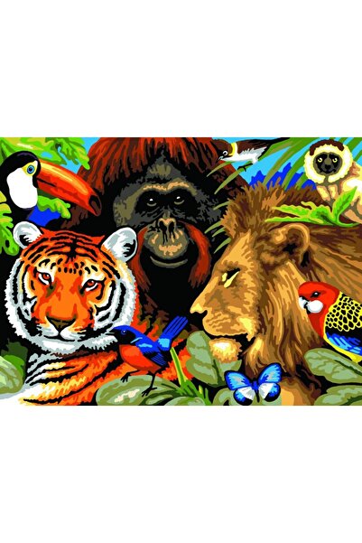 Royal Pictura pe numere Safari 32x40 cm