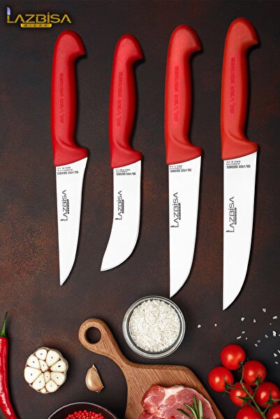 LAZBİSA Silver Serisi Mutfak Bıçak Seti Yüzme Sıyırma Kasap Et Ekmek Sebze Meyve Bıçağı 4 Lü Set HDS-78