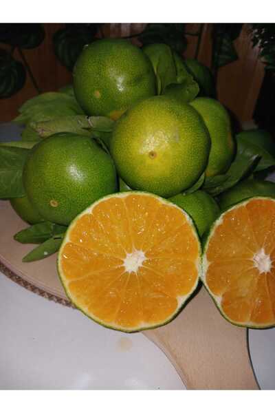 miralanya meyvecim 3 kilo mandalina