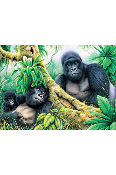 Royal Pictura pe numere Gorile de munte 32x40 cm
