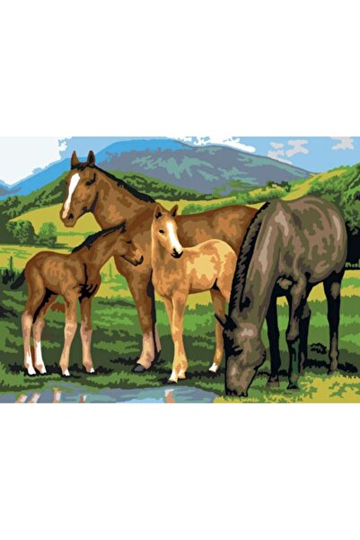 Royal Pictura pe numere Cai 32x40 cm