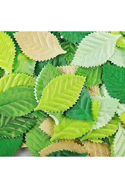 Generic مجموعة واي دريس من 200 قطعة من أوراق التوت المتنوعة للقصاصات والحرف اليدوية وحفلات الزفاف وبيت الدمية والبطاقات