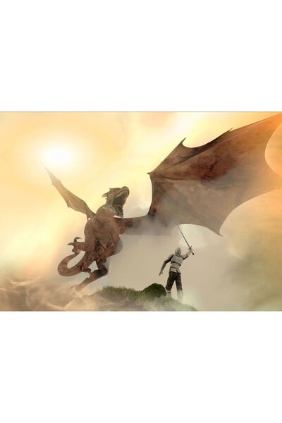 VIODESIGN Fototapet Copii, autoadeziv, Cavaler si Dragon , multicolor, 80x120...