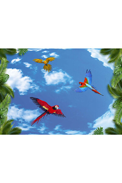 VIODESIGN Fototapet copii Papagali in Cer, autoadeziv, 120x200 cm