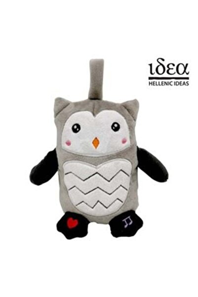 OEM Prima mea bufniță cu sunete care vorbește limba română - Idee