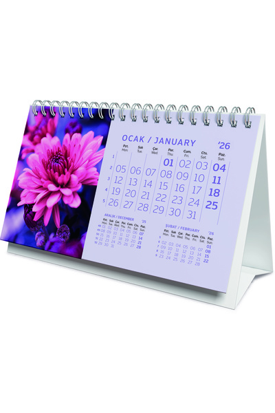 Gıpta 9x17 Bristol 2026 Üçgen Masa Takvimi