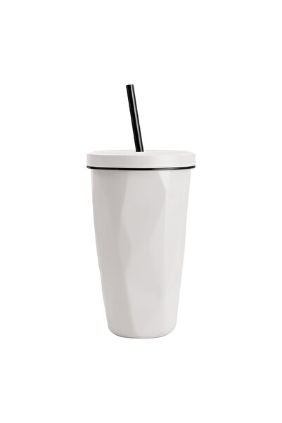 Vertik 480ml Stainless Steel Cold Drink Mug with Straw