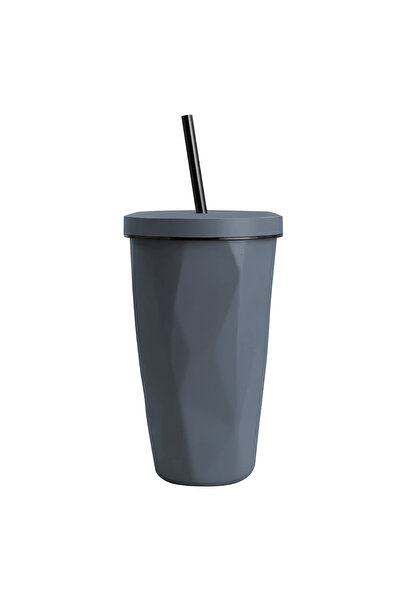 Vertik 480ml Stainless Steel Cold Drink Mug with Straw
