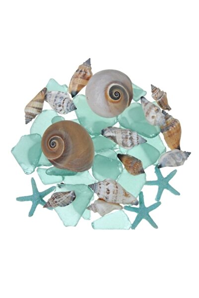 SHOPIENS Decoratiune Shopiens® in forma de Scoici Decorative Melci si Pietric...