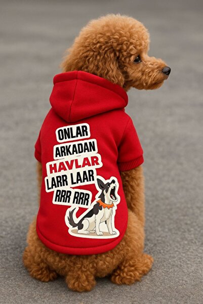 PetiliDünya Hav hav köpek sweati hoodie kedi köpek kıyafeti