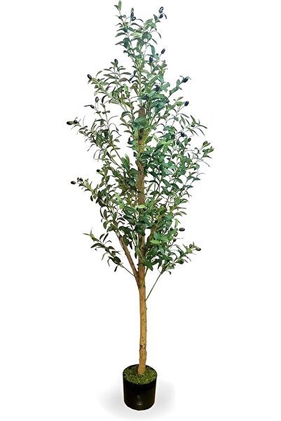 Generic MAMATOONS 6ft (180cm) Tall Artificial Olive Tree With Natural Wood Trunk and Pot, Realistic Look Oli