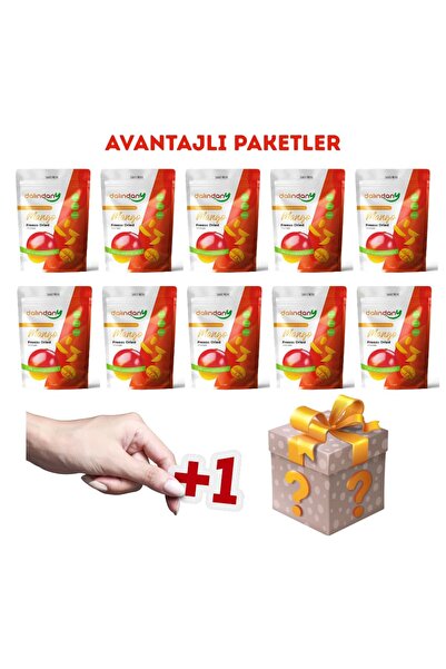 Dalindany Dondurularak Kurutulmuş Meyve 10'lu Mango Paketi