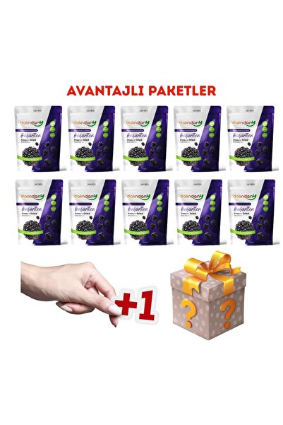Dalindany Dondurularak Kurutulmuş Meyve 10'lu Böğürtlen Paketi