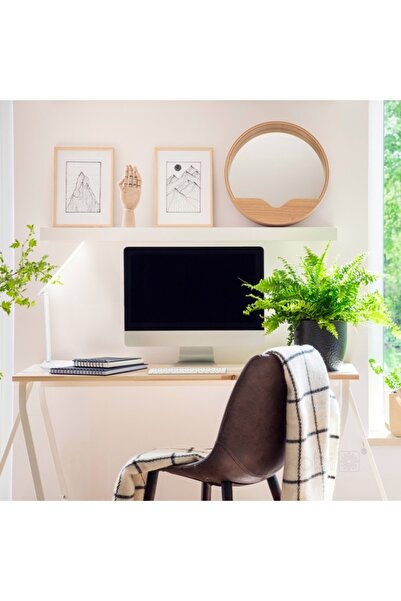 Kobi LED desk lamp NOBLITE N, 7W, warm/neutral/cold light, phone holder, dimmable, white,