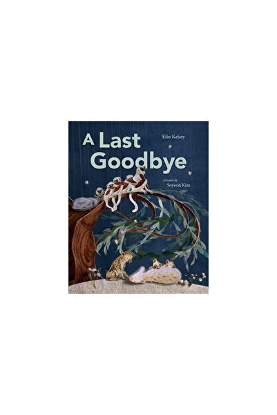 Owlkids Books A Last Goodbye