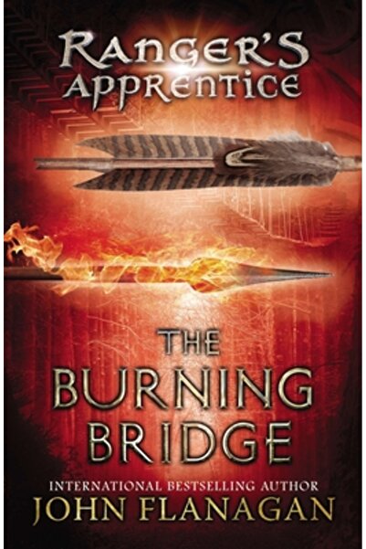 Puffin Books The Burning Bridge