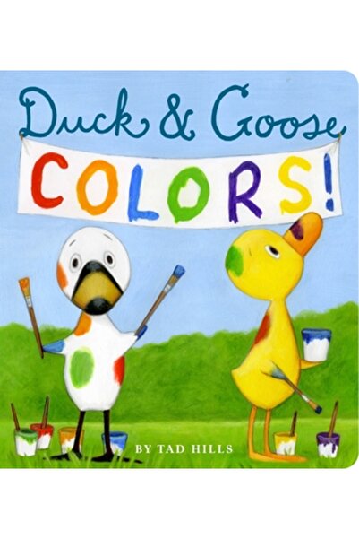 Schwartz & Wade Books Duck & Goose Colors