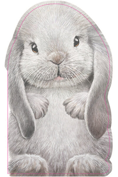 Barrons Educ Series Furry Bunny