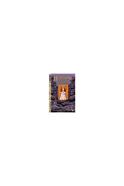 Harper Collins Warriors: Skyclan & the Stranger: The Rescue