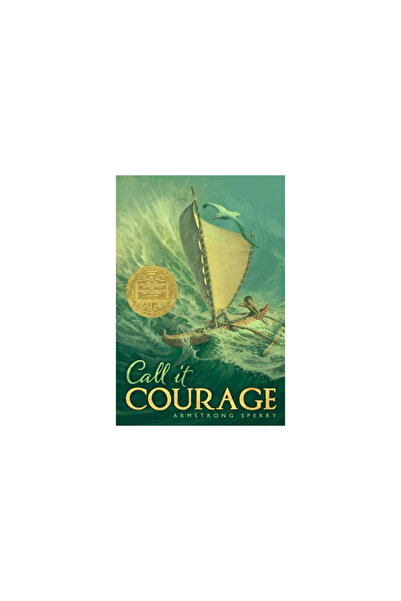 Aladdin Paperbacks Call It Courage