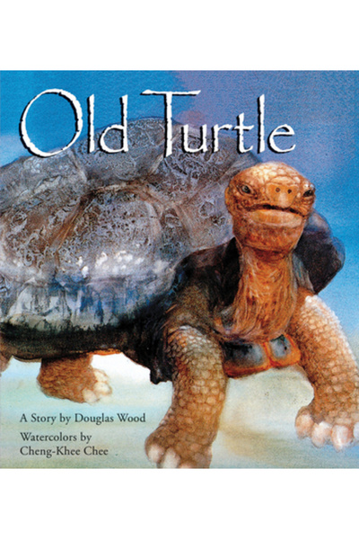Scholastic Press Old Turtle