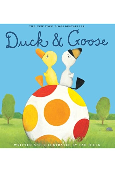 Schwartz & Wade Books Duck & Goose
