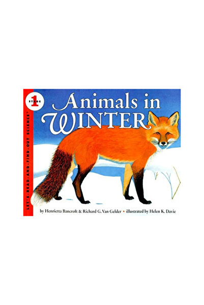 Collins Animals in Winter