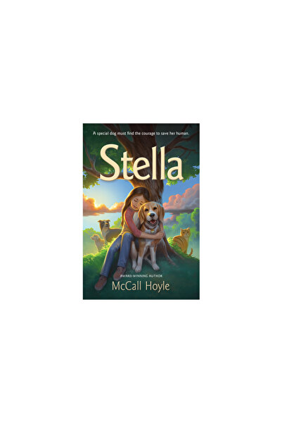 Shadow Mountain Pub Stella