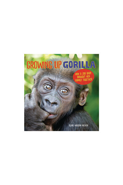 Millbrook Pr Growing Up Gorilla: How a Zoo Baby Brought Her Family Together