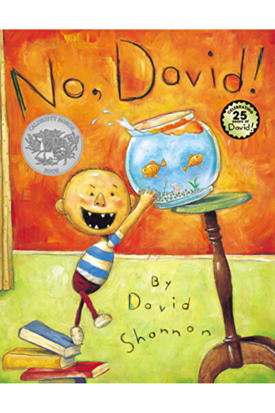 Scholastic No, David!