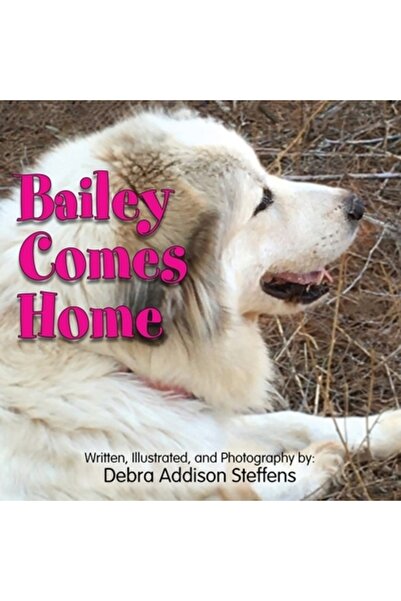 INDEPENDENT CAT Bailey Comes Home